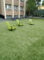 Escuela Madrid